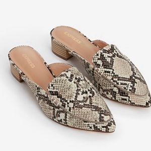 Express Loafers Python 🐍 Print